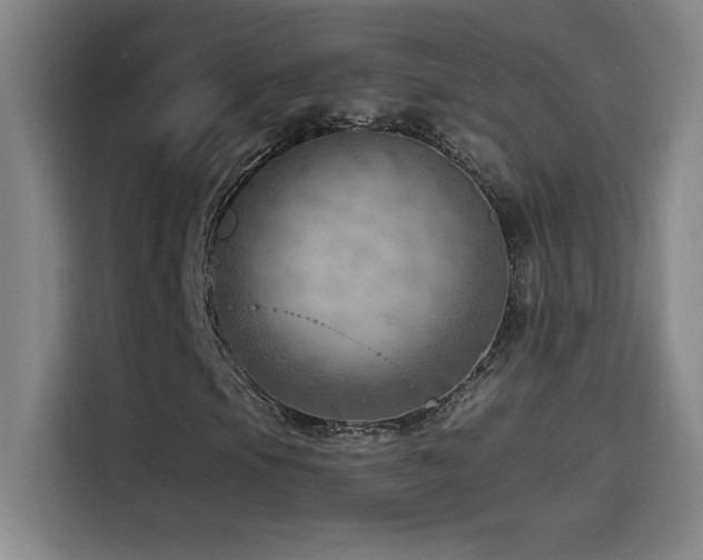 X0000114431105200910161329