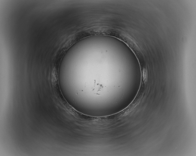 X0000114431107200910161329