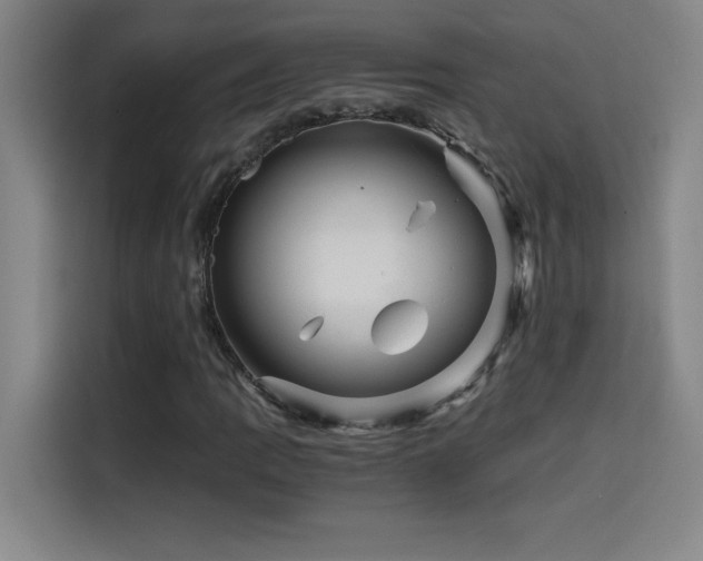 X0000114431109200910161329