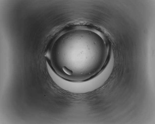 X0000114431110200910161329