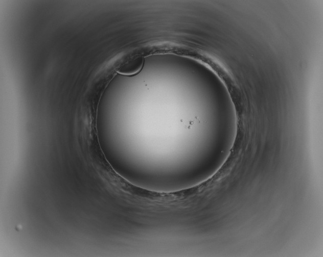 X0000114431111200910161329