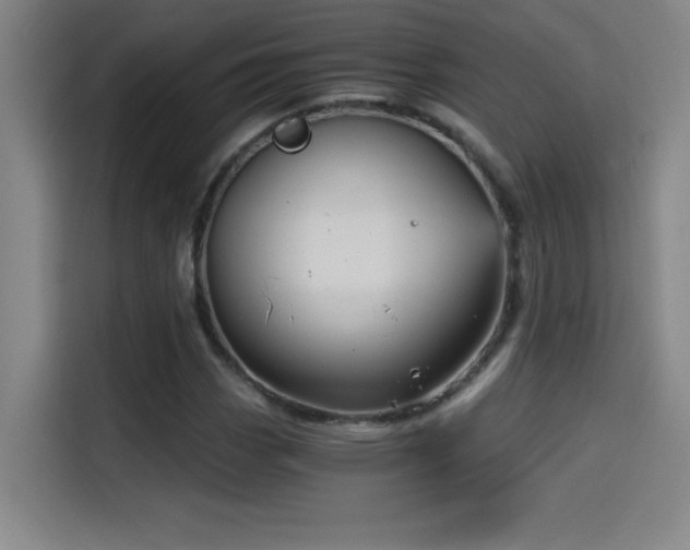 X0000114431113200910161329