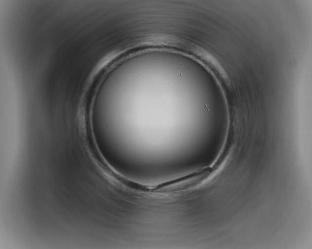 X0000114431114200910161329