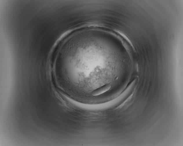 X0000114431115200910161329