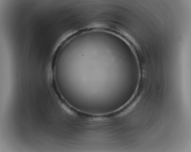 X0000114431117200910161329