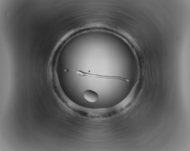 X0000114431118200910161329