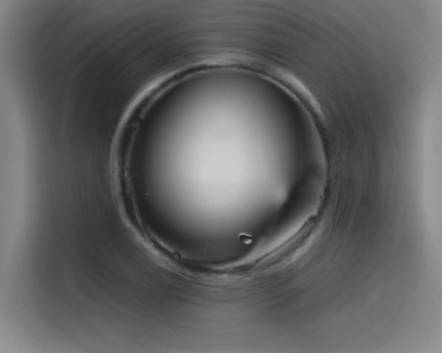X0000114431122200910161329
