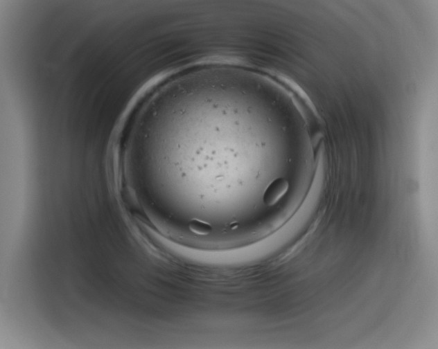 X0000114431123200910161329