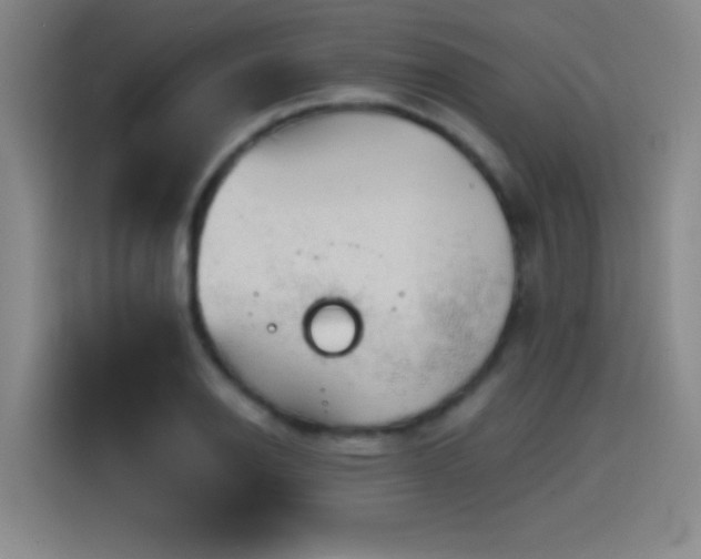 X0000114431126200910161329