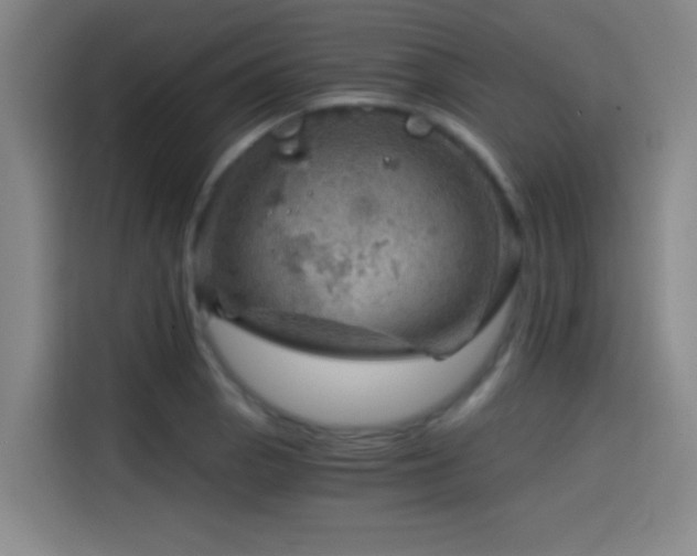 X0000114431129200910161330