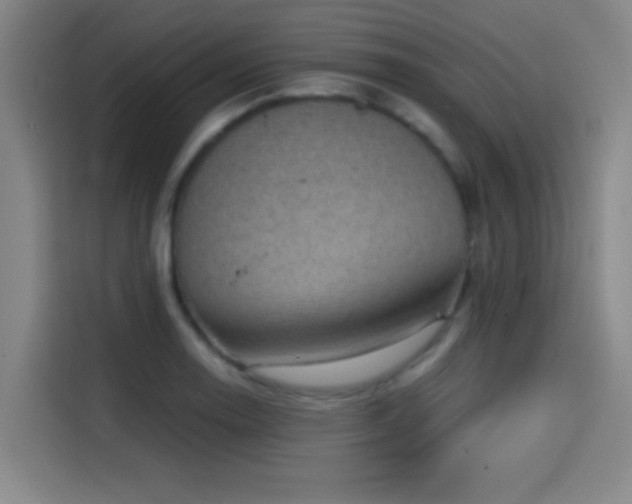 X0000114431130200910161330