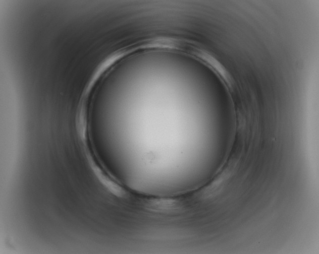 X0000114431131200910161330