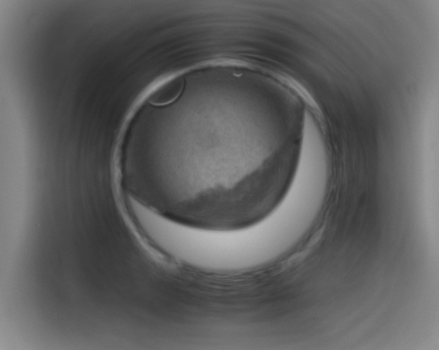 X0000114431133200910161330