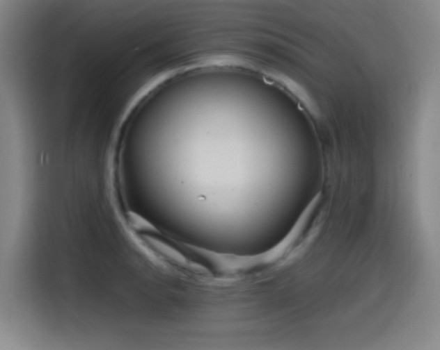 X0000114431134200910161330