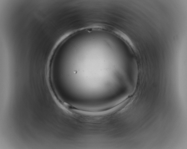 X0000114431135200910161330