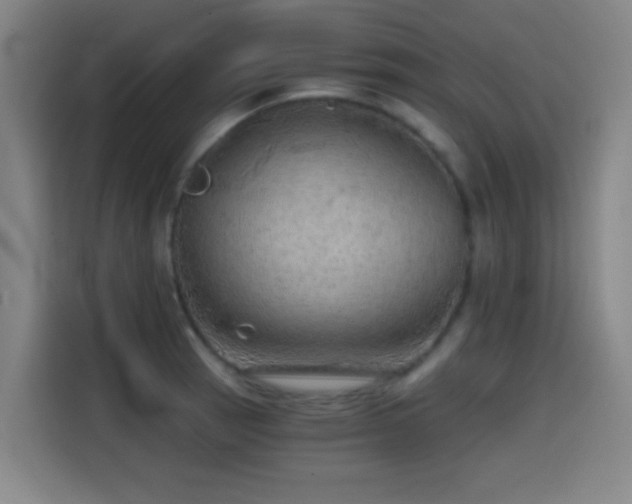 X0000114431137200910161330