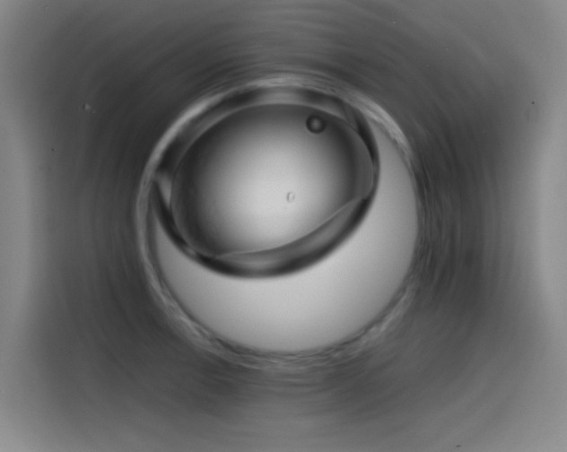 X0000114431138200910161330