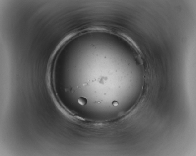 X0000114431139200910161330