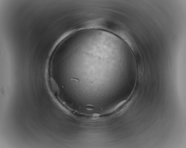 X0000114431142200910161330