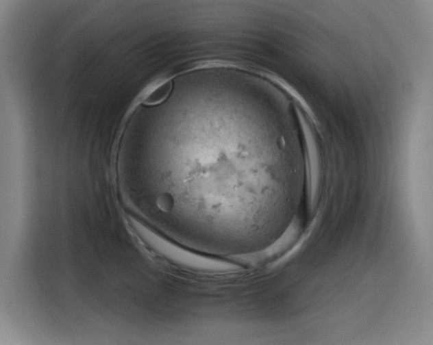 X0000114431145200910161330