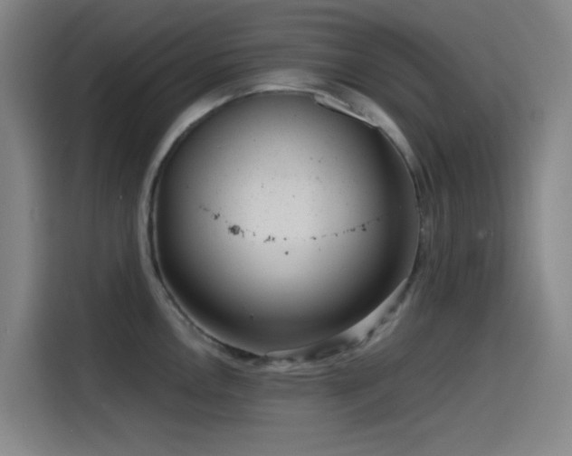 X0000114431146200910161330