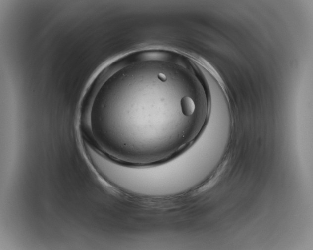X0000114431149200910161330