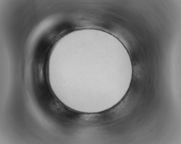 X0000114431150200910161330