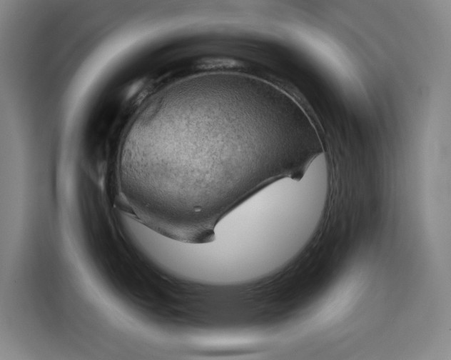 X0000114431151200910161330