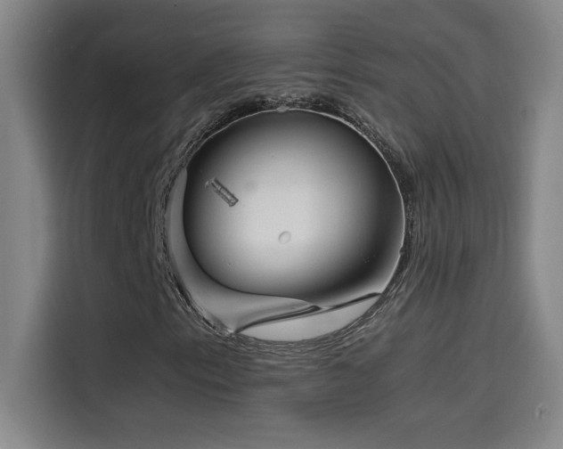 X0000114431153200910161329