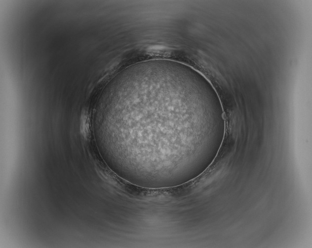 X0000114431154200910161329