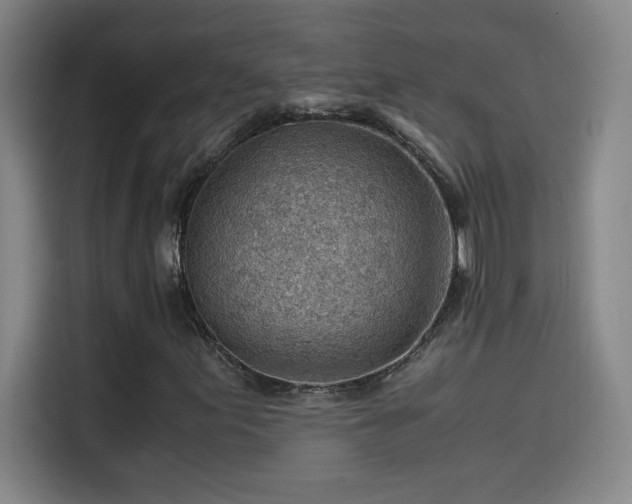 X0000114431155200910161329