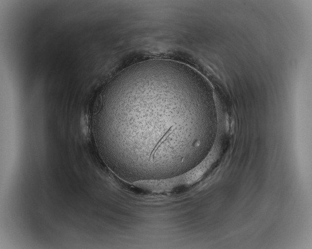 X0000114431156200910161329