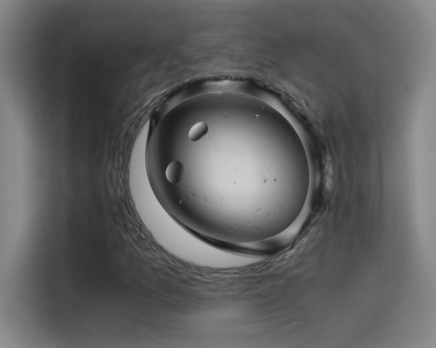 X0000114431157200910161329