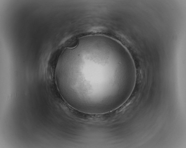 X0000114431158200910161329