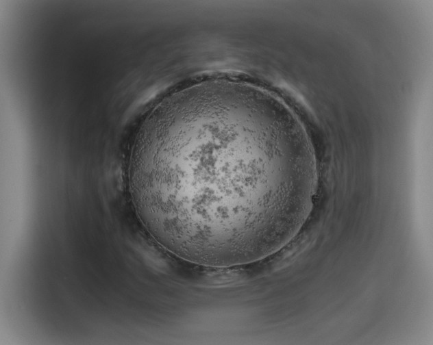 X0000114431159200910161329