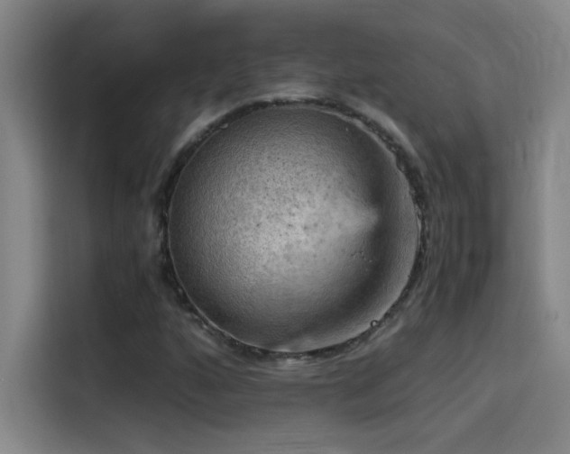 X0000114431160200910161329