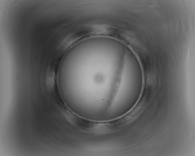 X0000114431161200910161329