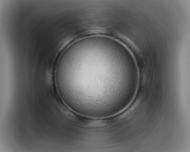 X0000114431162200910161329