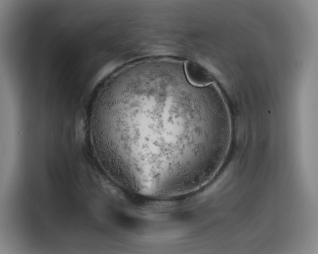X0000114431163200910161329