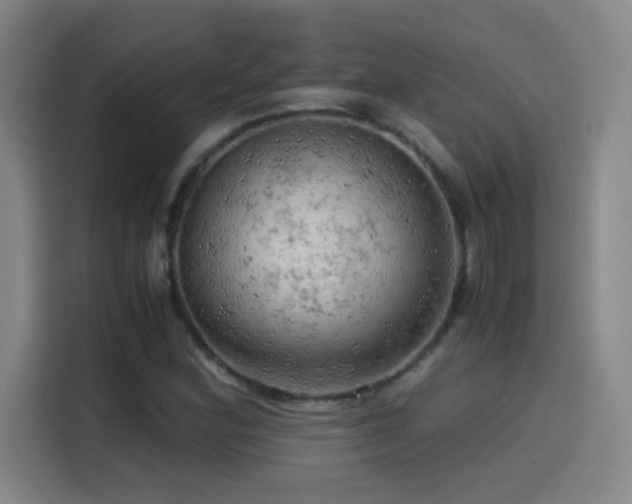 X0000114431164200910161329