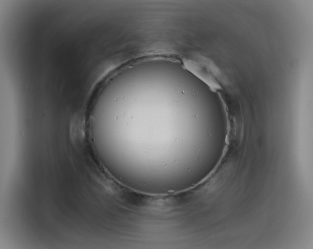 X0000114431165200910161329