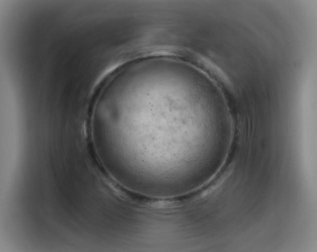 X0000114431166200910161329
