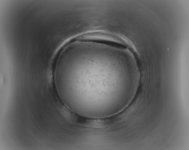 X0000114431167200910161329