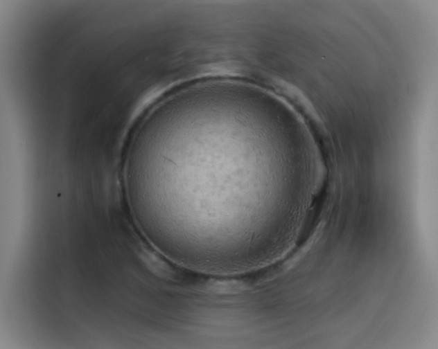 X0000114431168200910161329