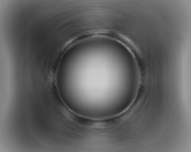 X0000114431169200910161329