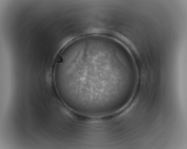 X0000114431170200910161329