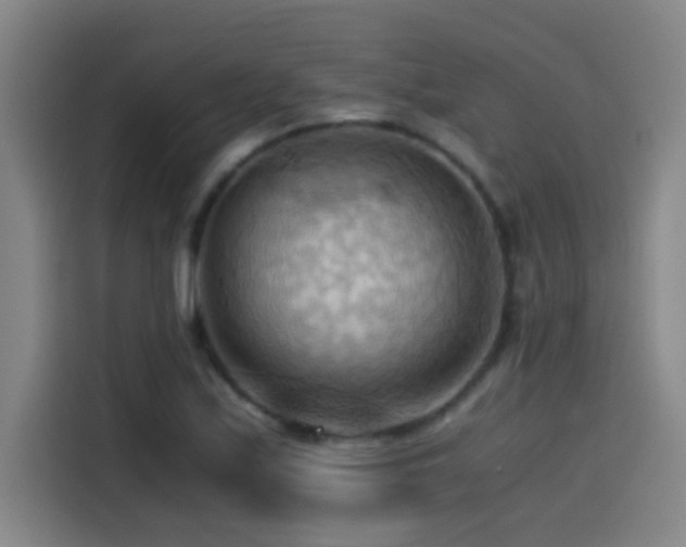 X0000114431171200910161329