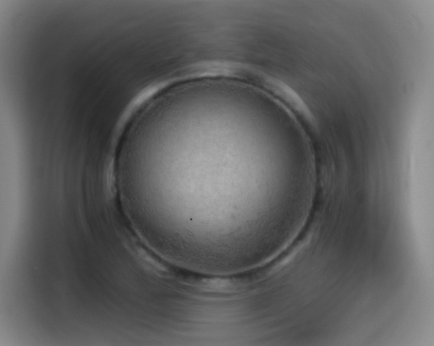 X0000114431172200910161329