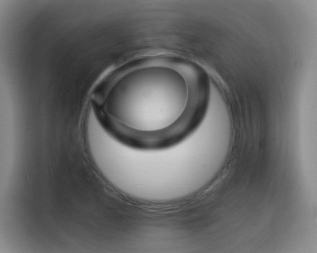 X0000114431173200910161329