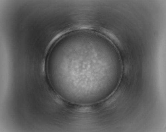 X0000114431174200910161329